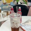 안양 시간 무제한 제니스 키즈카페 내돈내산 후기