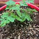 우풍농장 이미지