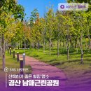 경산시 남매근린공원 | 산책하기 좋은 힐링 명소 경산 남매근린공원