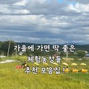 금당농장 | 가을에 가면 좋은 체험농장 + 야외 놀이공간