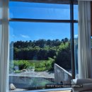 수묵 | 경주 자쿠지 펜션 독채 감성 숙소 수묵 펜션 솔직후기