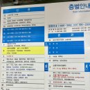 원광대학교 산본병원 | 원광대학교 산본치과병원, 매복 사랑니 발치 후기!