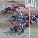 (주)동아하이-택 | 동아일보배 애필로그, 작전의 성공과 실패...