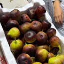 평화제과점 이미지