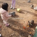 문평명하쪽빛마을 이미지