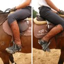 덕소 승마클럽 이미지