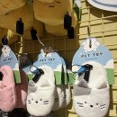 (주)레루 | 11월 일상 서촌혼자놀기코스 마사마드레 평일웨이팅후기 내돈내산