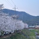 옛날손짜장 | 화순 로컬 중식 명장수타옛날손짜장 방문 후기