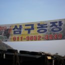 삼구농장 이미지