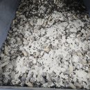 병걸농장 이미지