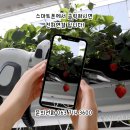 (주)비에스팜 이미지