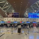 천지카서비스 | 다낭 공항 패스트트랙 공항 픽업 서비스 렌트카 이동 수단 만족
