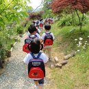 각화초병설유치원 이미지