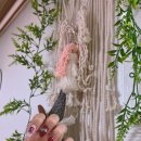 이시연한복 이미지