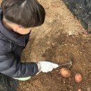 식품안전체험관 이미지