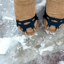 수도 한우목장 이미지