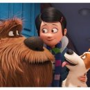 마이펫의 이중생활 이미지