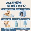 🔥2025 반려동물 여름 용품 BEST 10! 강아지·고양이 더위 탈출템 총정리