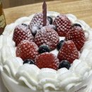 69 | 대구 달서구 케이크 | '제이델링 대구달서구점' 생일·기념일 케이크 맞춤제작