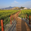 송학동고분군 화장실 이미지