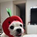 우디안경원 이미지