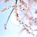 용암1리 경로당 이미지