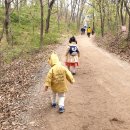 숲깨비 | 전주 오송제생태공원 숲체험 후기! 깨비의숲마을 어린이 봄 자연 체험 추천
