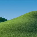 가회면 | 경상남도 합천군 가회면 오리백숙 맛집