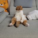 창현동물병원 이미지