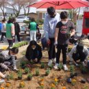 능북초등학교 이미지