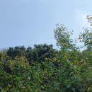 조종로85번길 이미지