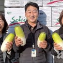 성산일출봉농업협동조합 농산물산지유통센터 이미지