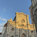 463 | [피렌체 두오모] 쿠폴라 돔 계단 463개 올라간 후기 (+주변 구경)