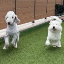 수원-0879 이미지