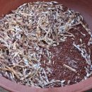 연두 농장 이미지