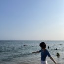 하모리-13 이미지