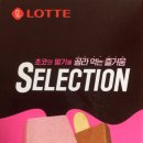 셀렉션