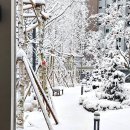 힐작은도서관 | 검단신도시 디에트르더힐 신고가 검신 대장아파트격 등극