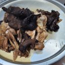 Gumiland 이미지