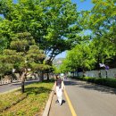 청와대 관람후기(주말주차팁, 삼청동과 북촌한옥마을 구경)