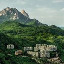 파라스파라 서울 이미지