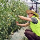 하나로유통 이미지