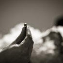 루나하우스 이미지