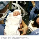 엔돌핀 이미지