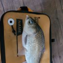 앵남낚시터 이미지