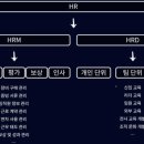[제로베이스] HR 8기 학습일지(2-1)_HRM 1,2차시