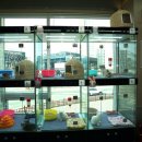 펫츠아일랜드 수월점 이미지