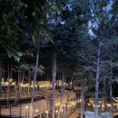 블루문캠핑장 이미지