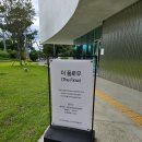 진주새싹삼 | 실크박물관 관람 후 커피 한 잔 어떠세요? 뽕잎차, 새싹삼주스가 있는 카페 더플로우 내돈내산 방문 후기