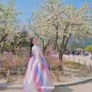 경복궁 한복 대여 갈래치마 내돈내산 추천 구르미한복